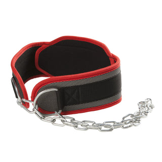 DIP BELT